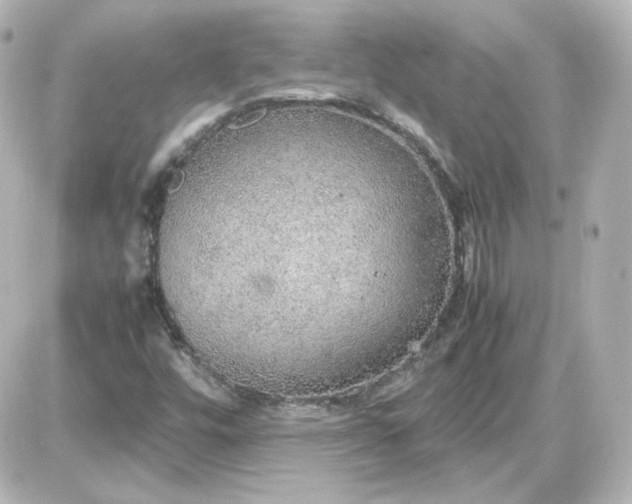 X0000087521448200705111954