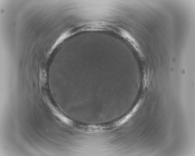 X0000087521449200705111954