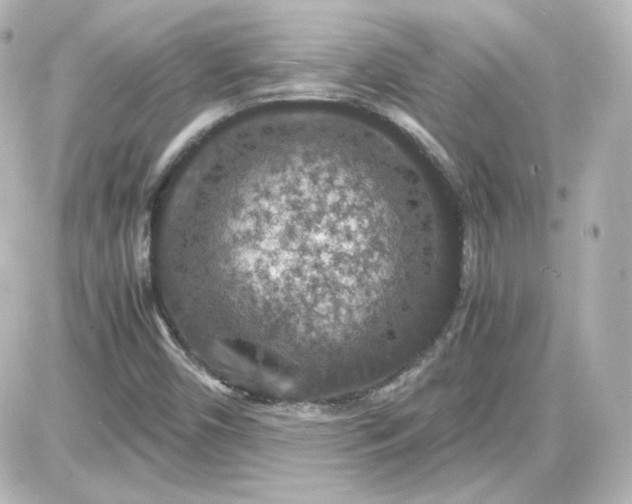 X0000087521450200705111954