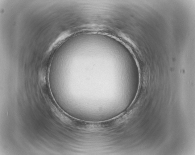 X0000087521451200705111954