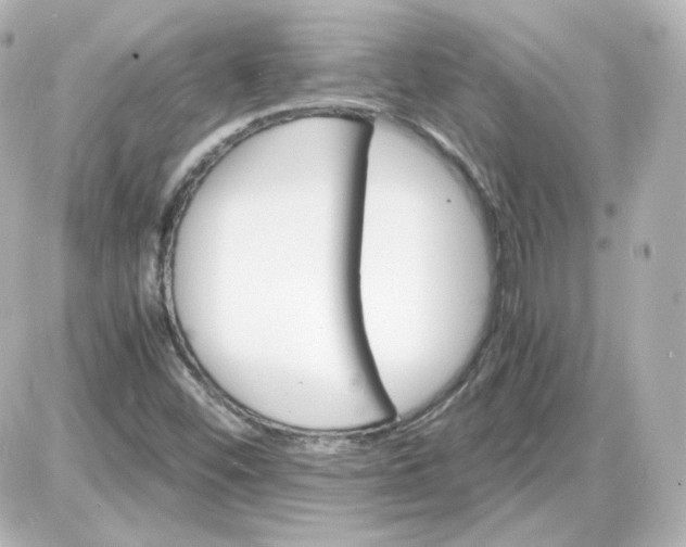 X0000087521452200705111954