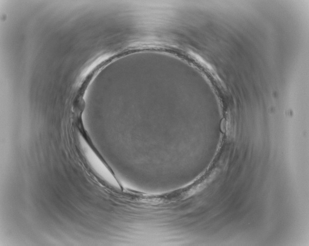 X0000087521453200705111954