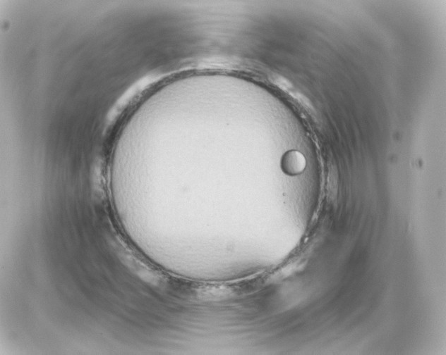 X0000087521454200705111954