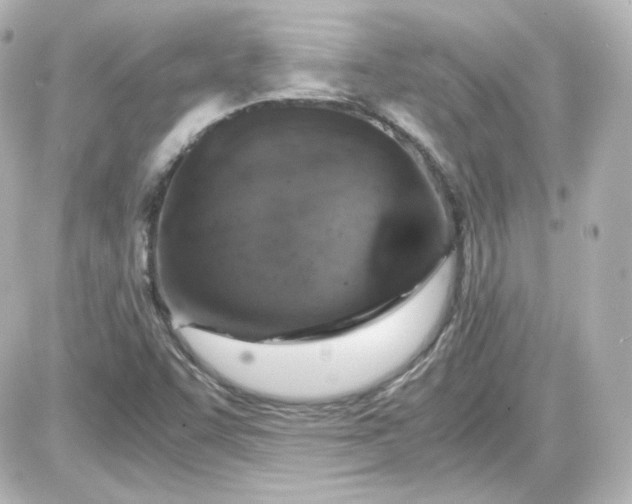 X0000087521455200705111954