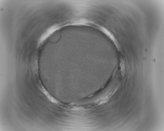 X0000087521456200705111954