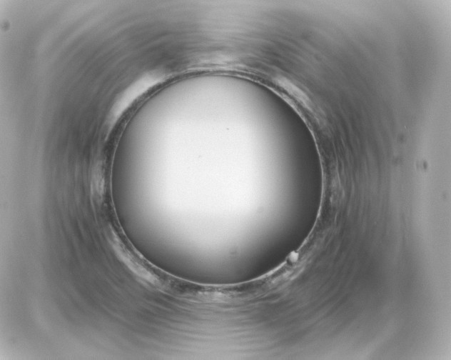 X0000087521458200705111954