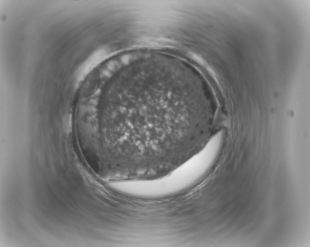 X0000087521459200705111954