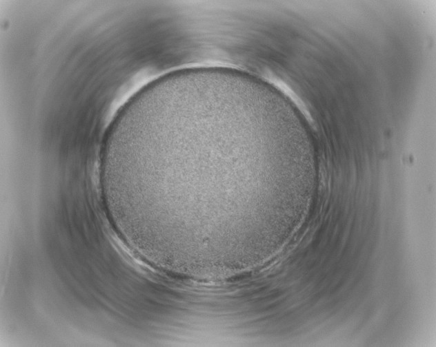 X0000087521460200705111954