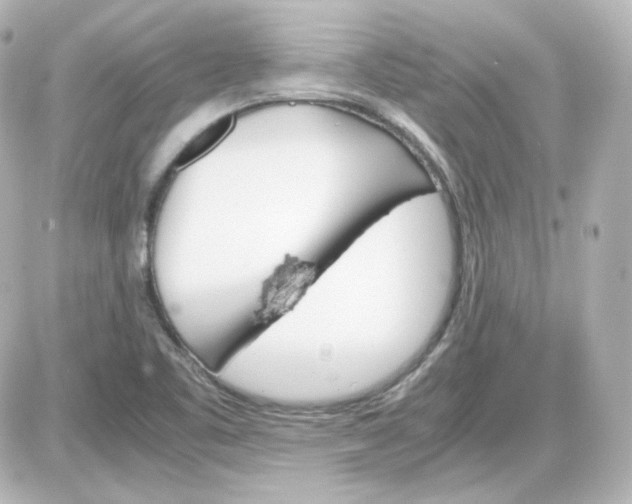 X0000087521461200705111954