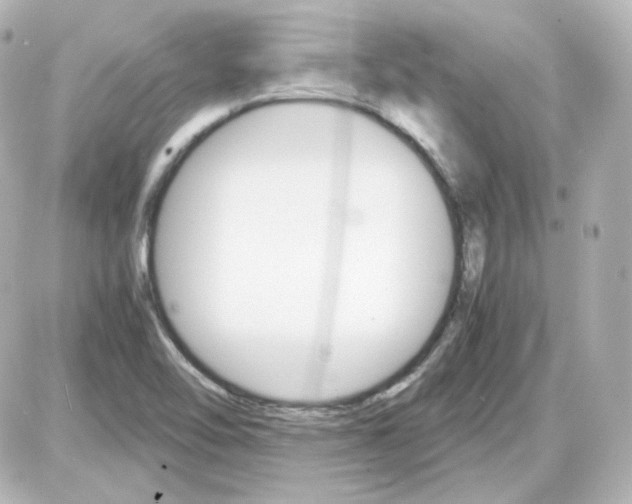 X0000087521462200705111954