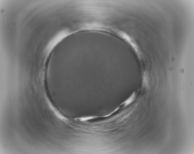 X0000087521463200705111954