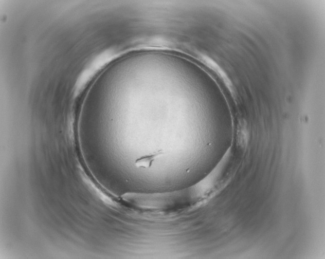 X0000087521464200705111954