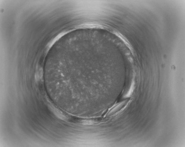 X0000087521465200705111954