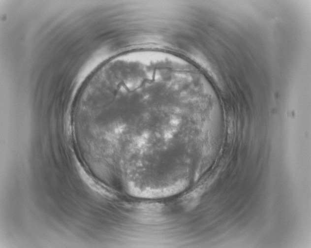 X0000087521466200705111954