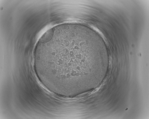 X0000087521467200705111954