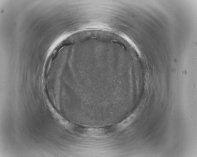 X0000087521469200705111954