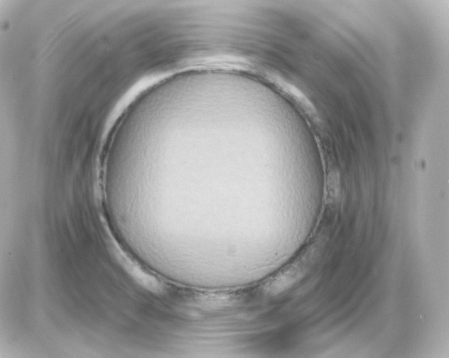 X0000087521470200705111954