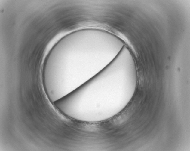 X0000087521472200705111954