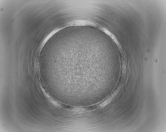 X0000087521473200705111954