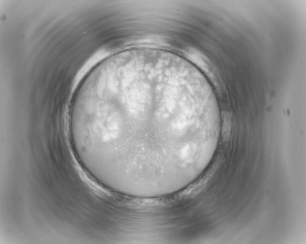 X0000087521474200705111954