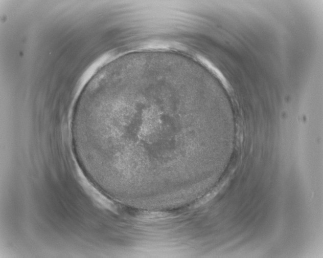 X0000087521475200705111954