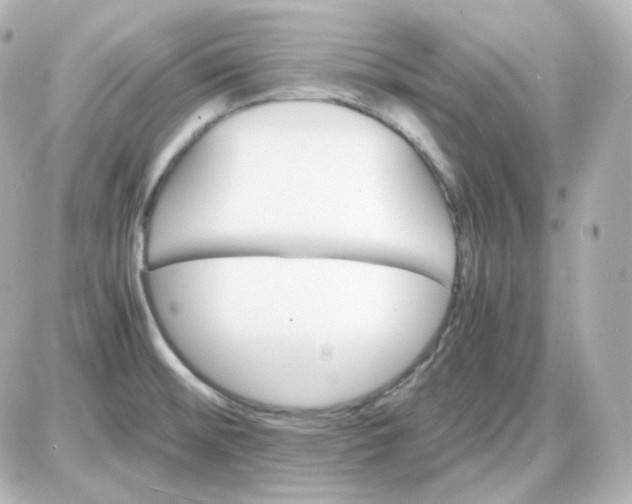 X0000087521476200705111954