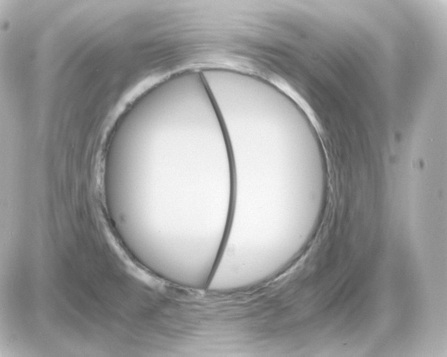 X0000087521477200705111954