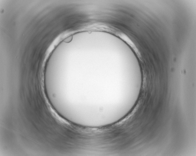 X0000087521478200705111954