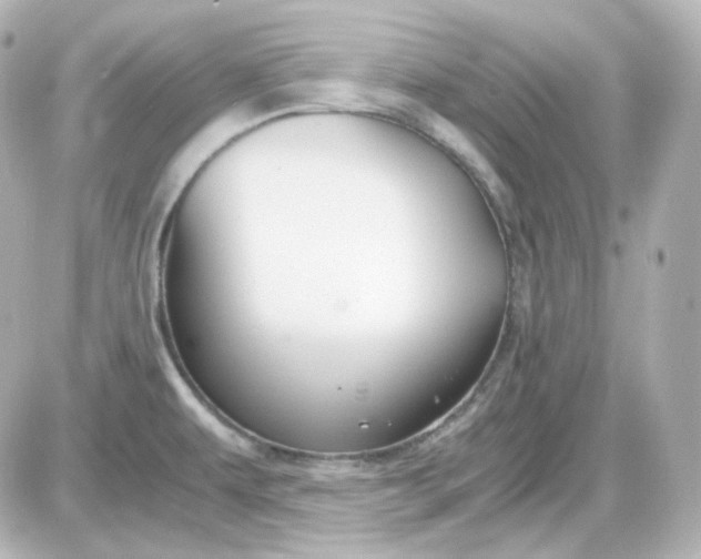 X0000087521479200705111954