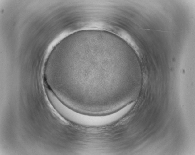 X0000087521480200705111954