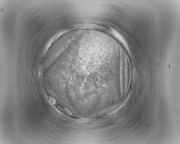 X0000087521481200705111954