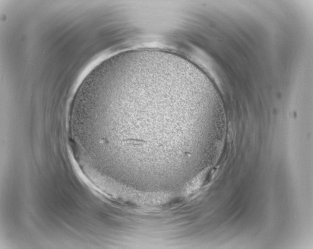 X0000087521483200705111954