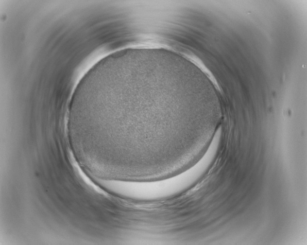 X0000087521484200705111954