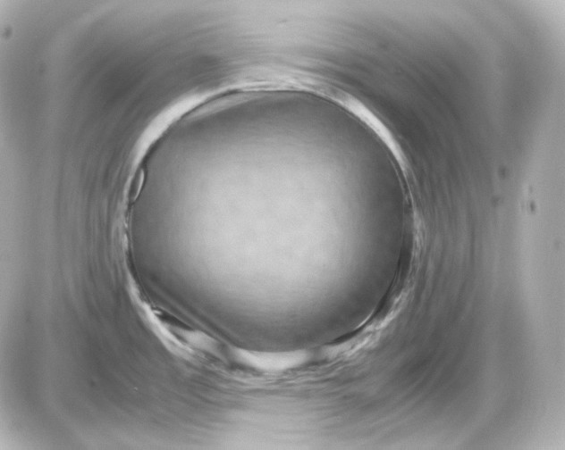 X0000087521485200705111954