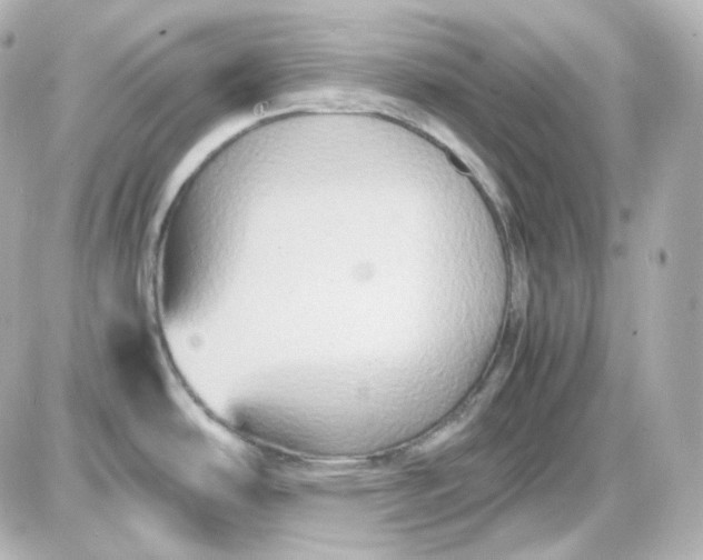 X0000087521486200705111954