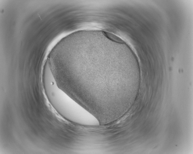 X0000087521488200705111954