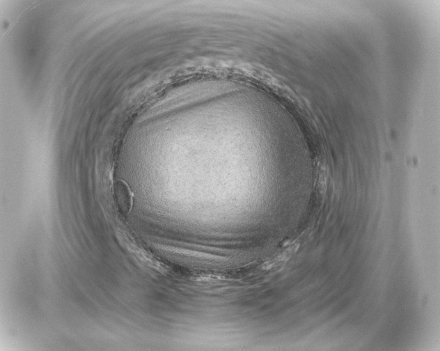 X0000087521489200705111953