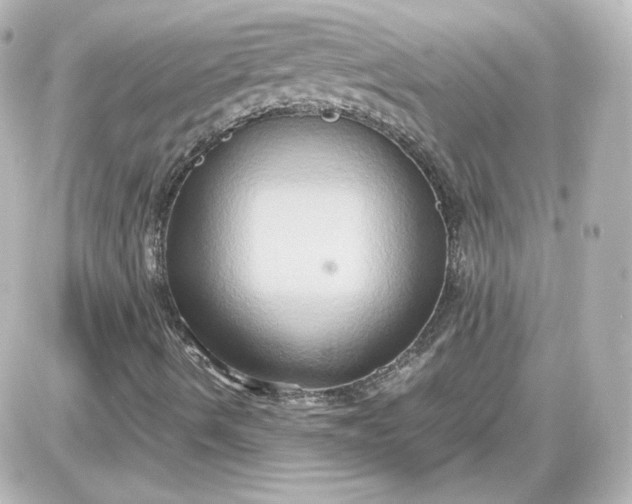 X0000087521490200705111953