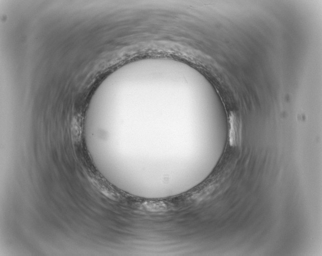 X0000087521491200705111953