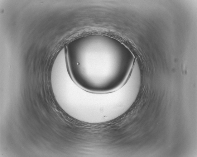 X0000087521492200705111953