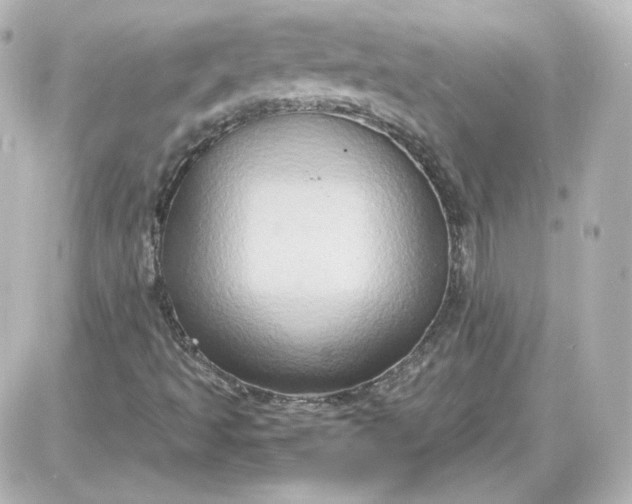 X0000087521493200705111953