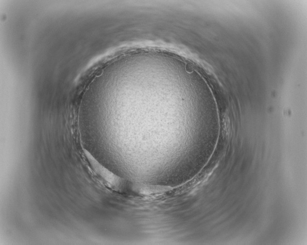 X0000087521494200705111953