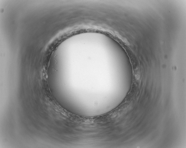 X0000087521495200705111953