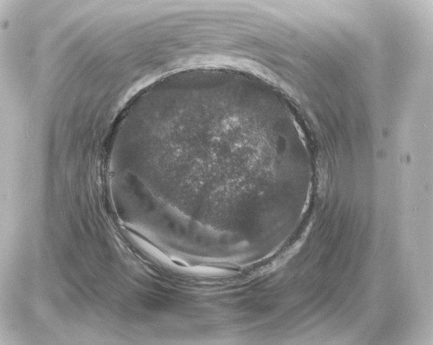 X0000087521497200705111953