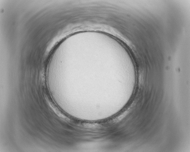 X0000087521498200705111953