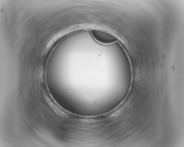 X0000087521499200705111953