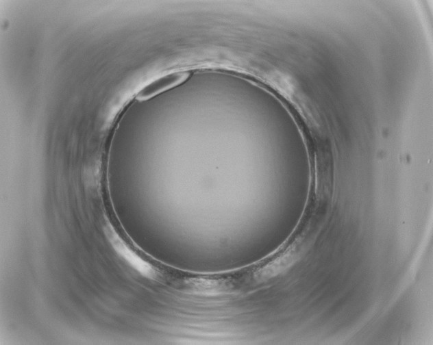 X0000087521500200705111953