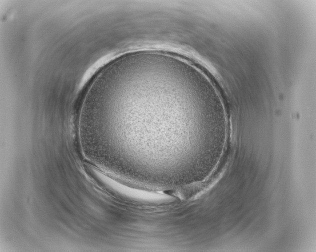 X0000087521501200705111953