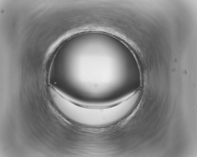 X0000087521502200705111953