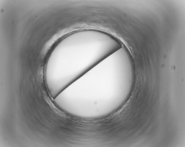 X0000087521503200705111953